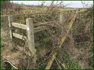 old bridge before